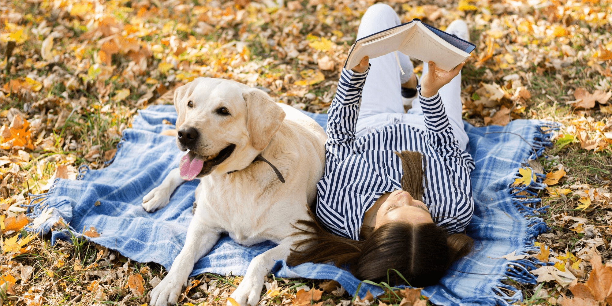 Seguro de Pet (Petz)